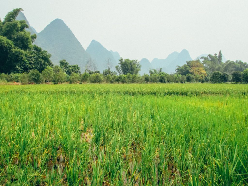 Yangshuo, China 