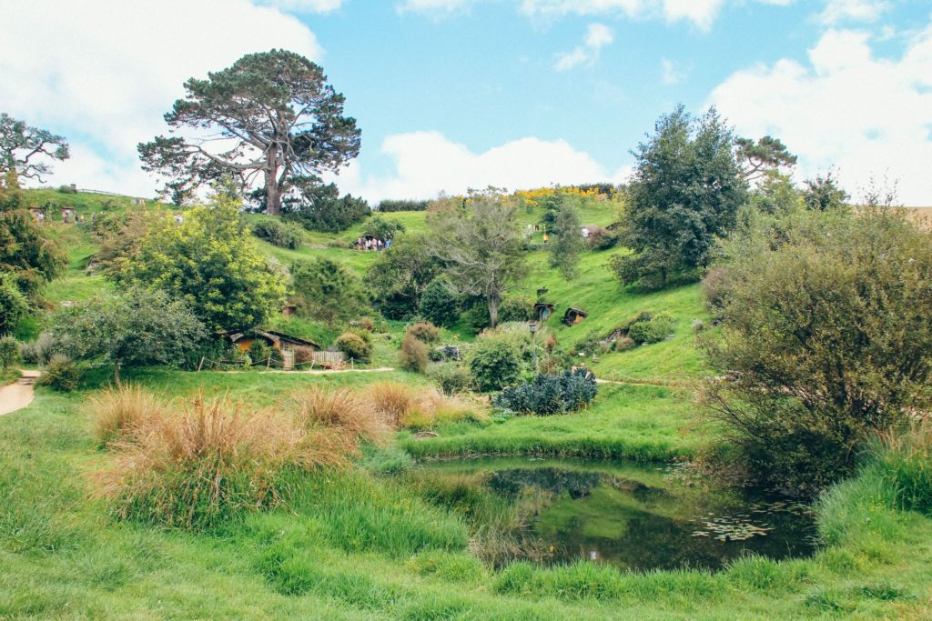 Is The Hobbiton Tour Worth It?