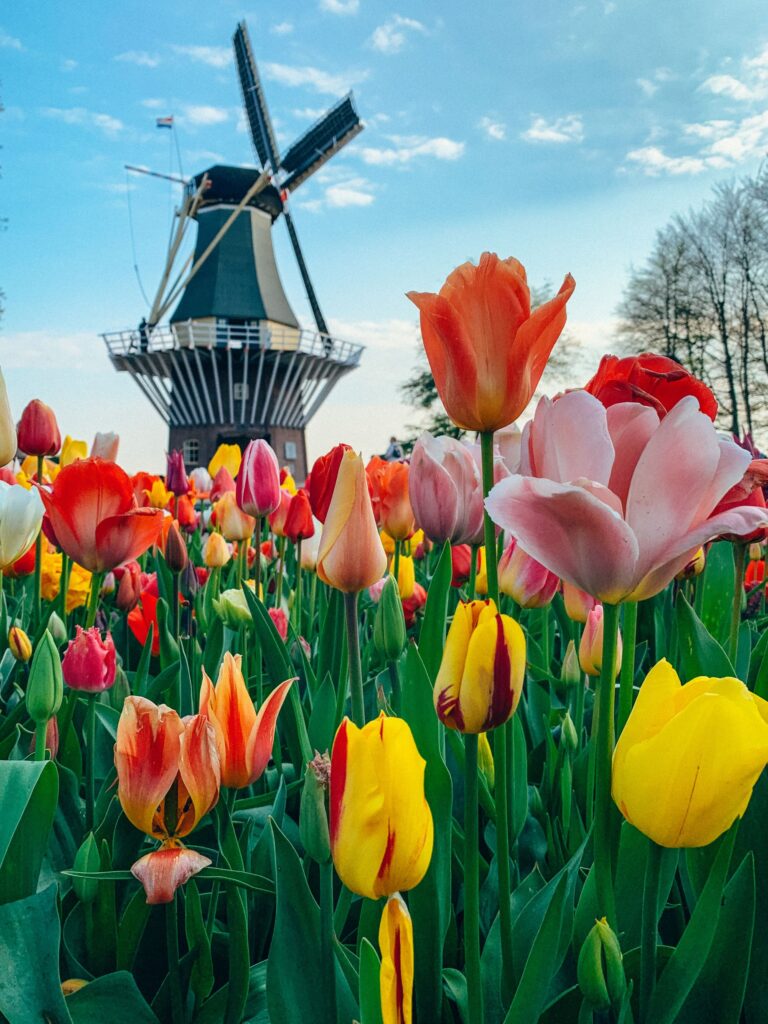 Lisse, Netherlands