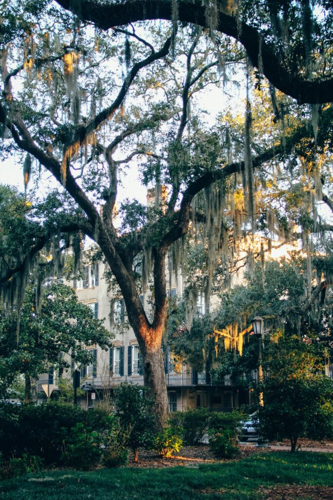 Savannah, Georgia